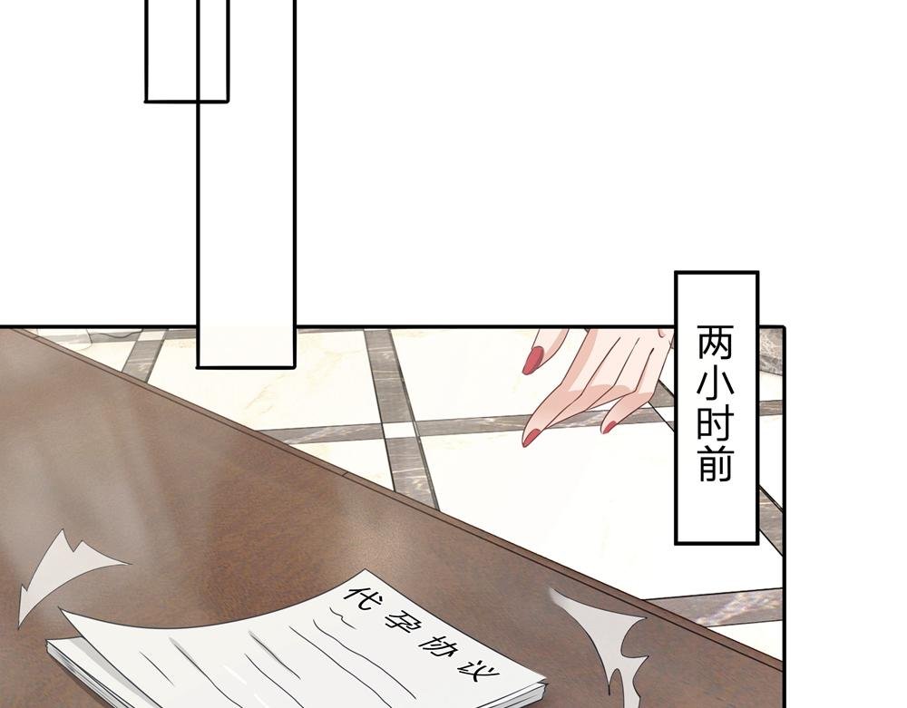 第1话 代孕协议