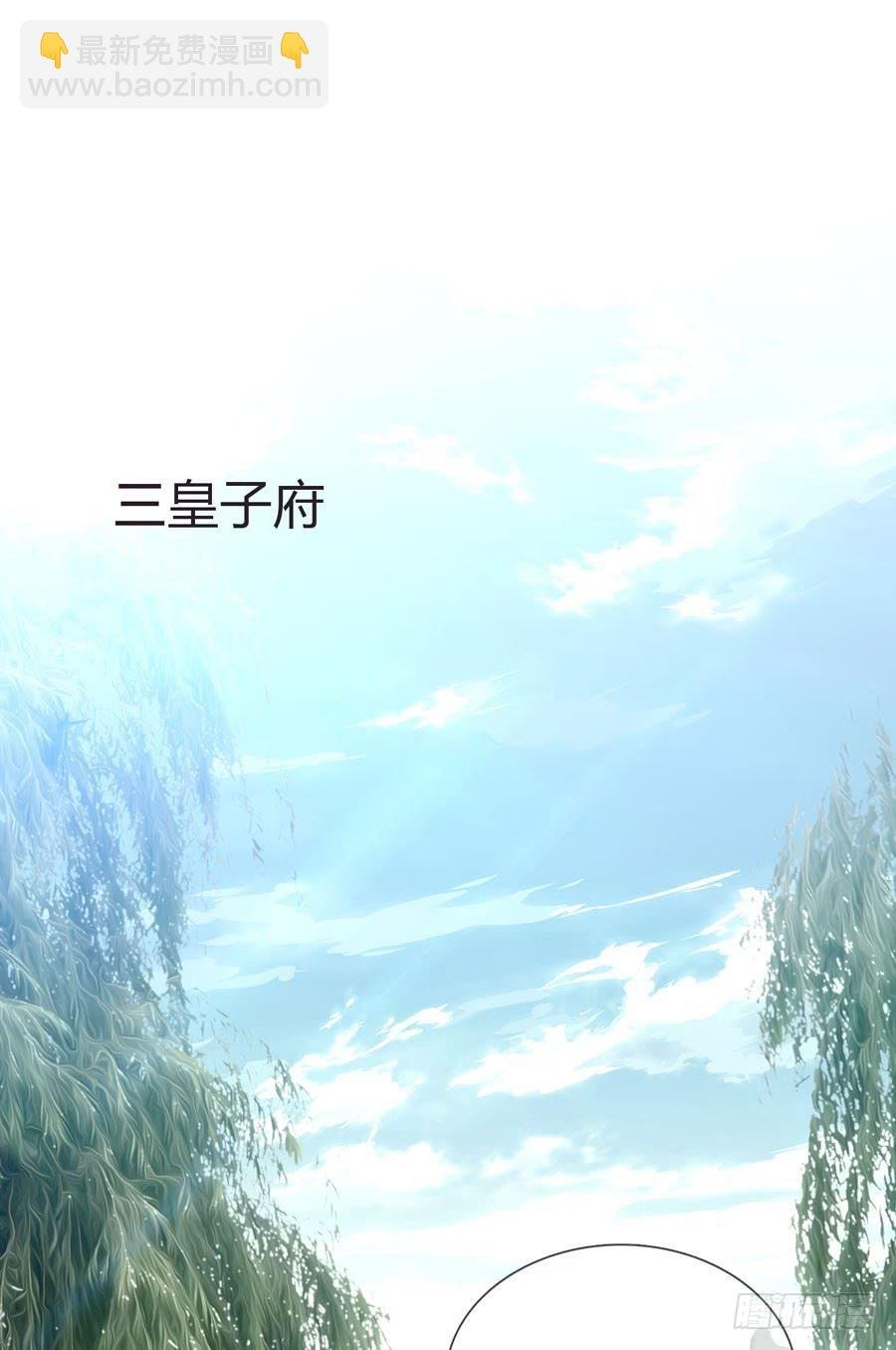 皇上驾崩