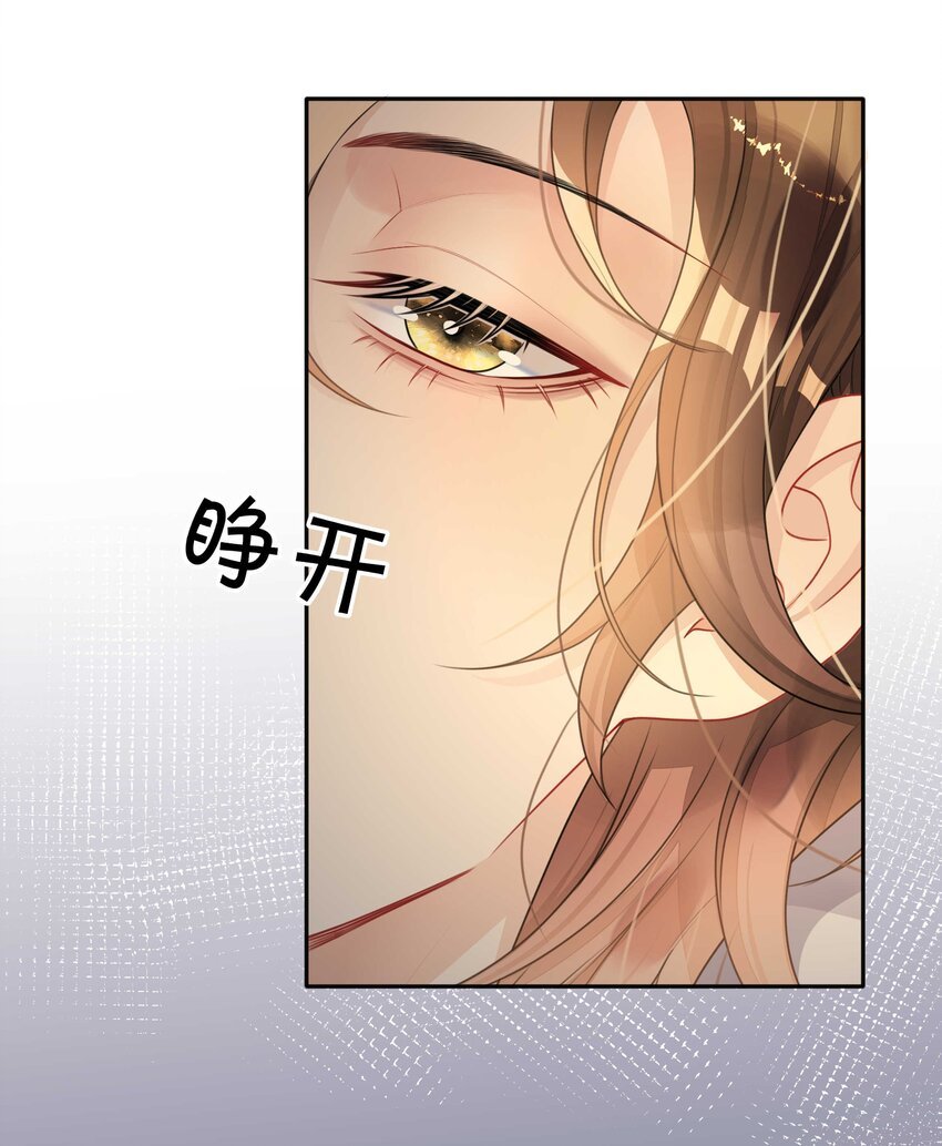 009 欲盖弥彰