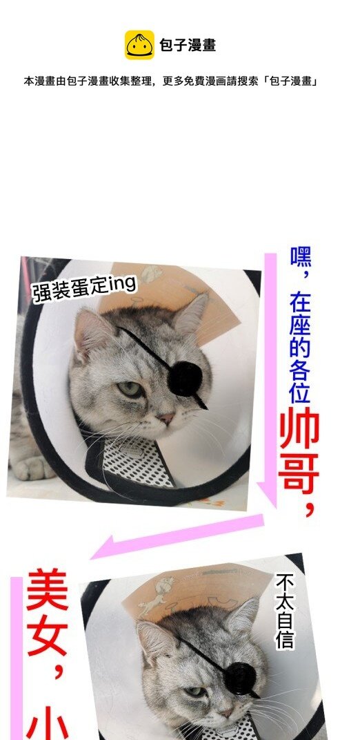 请假条 请假条