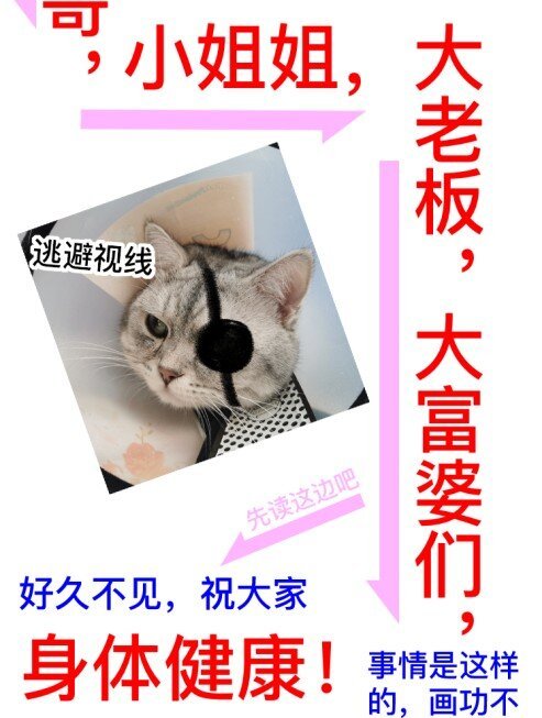 请假条 请假条