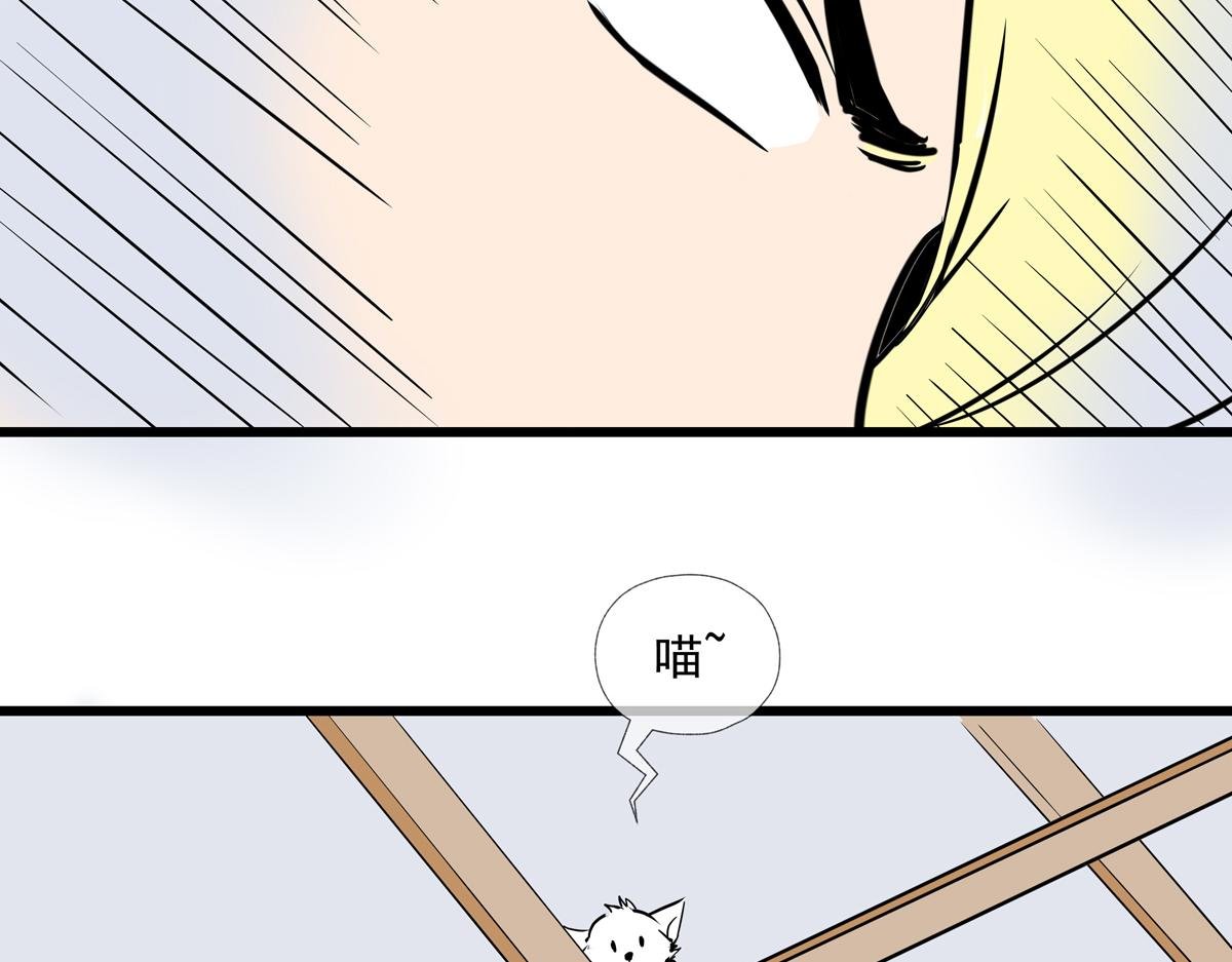 第九话 三个女（？）人一台戏