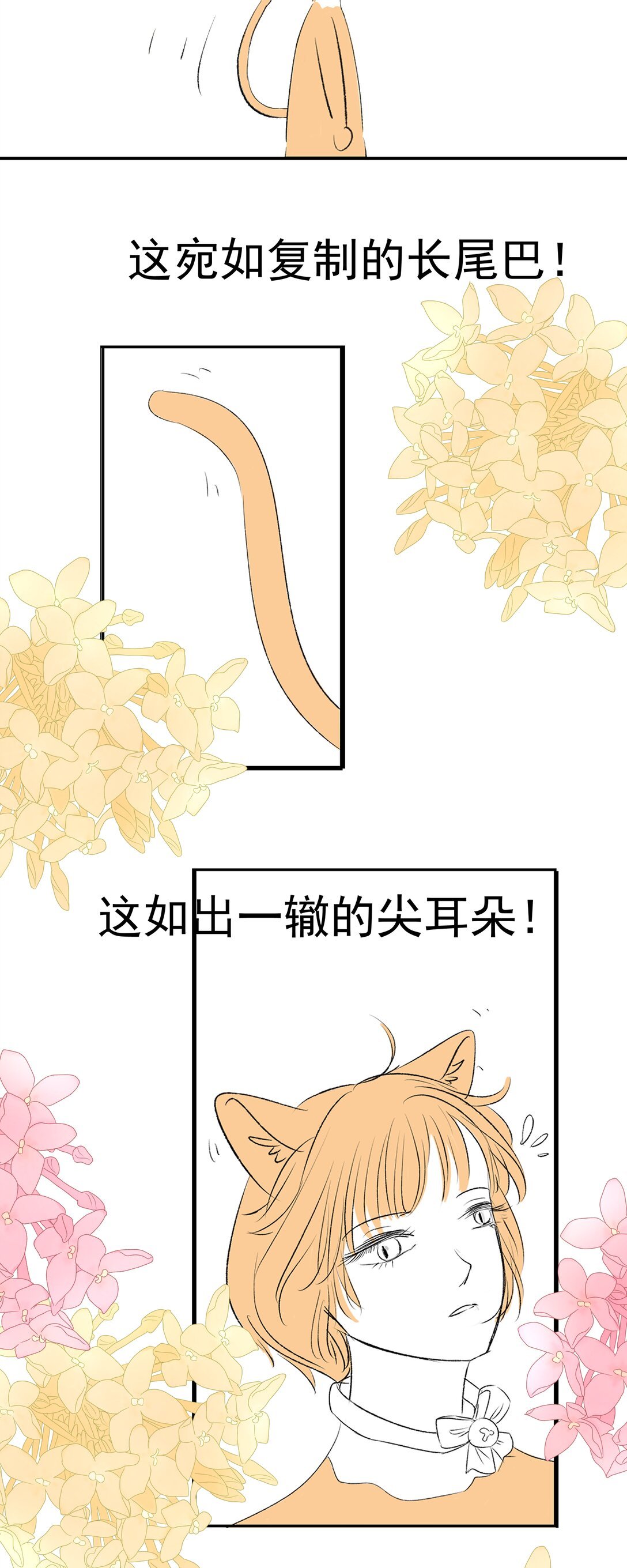 1 1