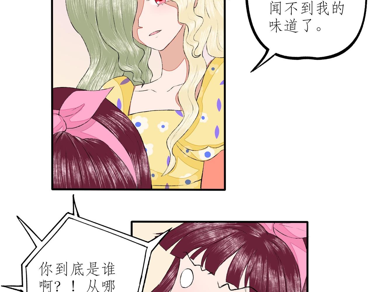初识