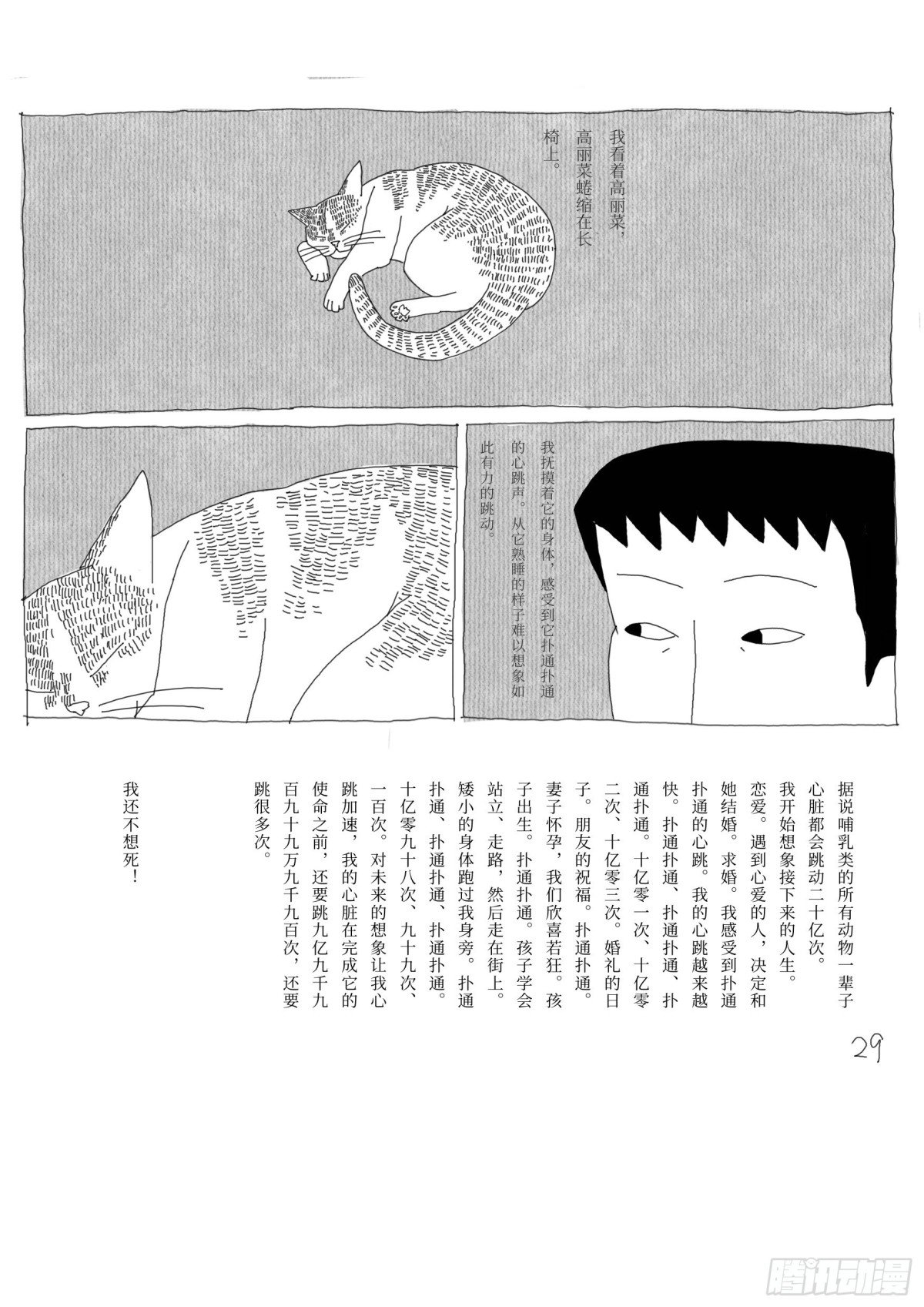 喵啊