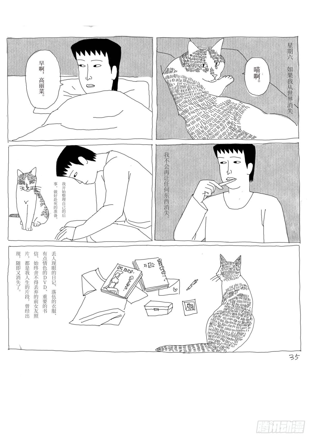 喵啊