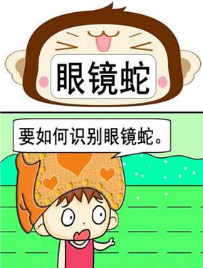 wuliandianfeng-pikapi